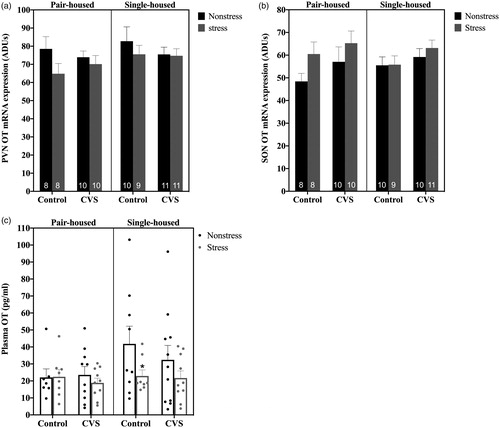 Figure 5. Levels of hypothalamic oxytocin (OT) mRNA and plasma OT at baseline and after 20 minutes of restraint stress in pair- versus single-housed male mice exposed to chronic variable stress (CVS) or control conditions. Panels a and b show mean ± SEM arbitrary density units (ADUs) calculated from in situ hybridization autoradiograms of OT mRNA within the paraventricular nucleus (PVN) (a) and supraoptic nucleus (SON) (b). Panel c shows mean ± SEM plasma OT levels in pair- versus single-housed mice. *: p < .05 for stressed versus nonstressed control single-housed males. Numbers within each bar indicate the number of animals used for each group.