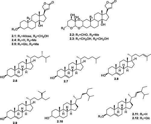 Figure 3. Structures of cardenolides and steroids (2.1–2.12) reported in the genus Salsola.