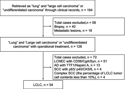 Figure 1 Flowchart illustrating LCLC patient enrollment.Abbreviations: SCC, squamous-cell carcinoma; LCNEC, large-cell neuroendocrine carcinoma; AD, adenocarcinoma; LCLC, large-cell lung carcinoma.
