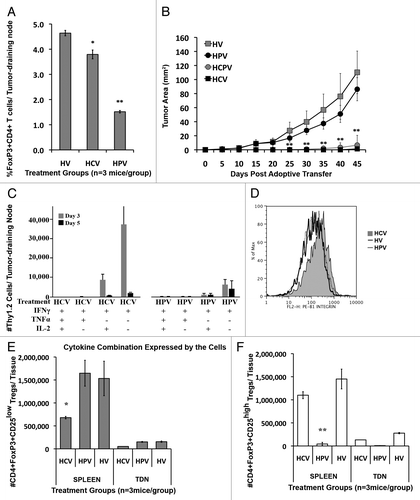 Figure 1. Cyclophosphamide, not PC61, enhances the therapeutic effect of the neu-vaccine and high-avidity T-cell activity in neu-N mice. (A) PC61 depletes significantly more CD4+FOXP3+ T cells than cyclophosphamide (Cy) when given with neu-vaccine. The percent of CD4+FOXP3+ T cells in the tumor draining lymph nodes of neu-N mice challenged with NT2.5 tumor (5x104 cells on day 0) and treated with the neu-vaccine (3x106 cells on day 3) and high-avidity T cells (5x106 cells on day 4) (HV), with the addition of either 100 mg/kg Cy (HCV) or 150 µg/mouse PC61 (HPV) on day 2. * = p < 0.05, ** = p < 0.001. (B) Only Cy combined with high-avidity T cells and neu-vaccine treatment leads to tumor rejection in neu-N mice. Tumor growth in neu-N mice challenged with NT2.5 tumor (5x104 cells) and treated with high-avidity T cells (5x106 cells) and the neu-vaccine (3x106 cells) (HV) with the addition of either 100 mg/kg Cy (HCV), 150 µg/mouse PC61 (HPV), or Cy and PC61 combined (HCPV). ** = p < 0.001. (C) Cy plus neu-vaccine treatment leads to cytokine secretion by high-avidity T cells. High-avidity (Thy1.2) T cells from tumor draining lymph nodes on neu-N mice treated with high-avidity T cells, neu-vaccine, and Cy (HCV) or PC61 (HPV) were tested for their ability to secrete inflammatory cytokines 3 and 5 days after adoptive transfer. (D) Cy, not PC61, treatment leads to increased β1-integrin expression on high-avidity Tcells. High-avidity T cells isolated from tumor draining lymph nodes 3 d after adoptive transfer in neu-N mice treated with HCV, HPV, or HV. (E,F) Cy and PC61 preferentially deplete different subsets of CD25+ Tregs. The number of CD4+FOXP3+CD25low (E) or CD4+FOXP3+CD25high (F) Tregs in the spleen and tumor draining node (TDN) of neu-N mice treated with HCV, HPV, or HV. * = p < 0.05, ** = p < 0.001. All experiments were conducted at least 3 times (3 mice per group) with similar results.