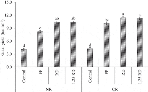 Figure 3. Interaction effect of crop residue and different N fertilization rates on maize yield; crop residue retention = CR and No residue = NR; FP = farmers’ practice, RD = recommended dose, 1.25 RD = 125% of recommended dose; bars with different letters vary significantly from each other at p < 0.05.