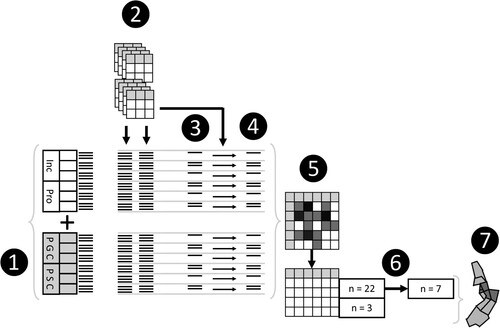 Figure 2. Simplified overview of the research which contributed to this paper. Labels referred to in the text. Part of the framework represents the Inclusive Growth Monitor.Source: Beatty et al., Citation2016.