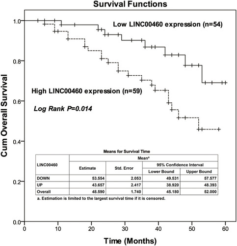 Figure 2 Kaplan–Meier curves for ccRCC patients with high and low levels of LINC00460 (Log rank test: P = 0.014).