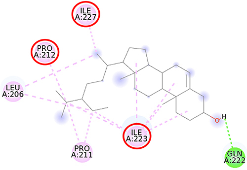Figure 8 2D molecular interaction of β-sitosterol in the SIRT1 allosteric activator binding site (PDB ID 4ZZJ), visualized by employing the Discovery Studio Visualizer 4.0. Red circles indicate important amino acid residues (Pro212, Ile223, and Ile227). Alpha-helices are shown in red color, and the loops and turns are colored grey. Green dashed lines indicate hydrogen bonds. Pink dashed lines indicate pi-alkyl hydrophobic interaction.