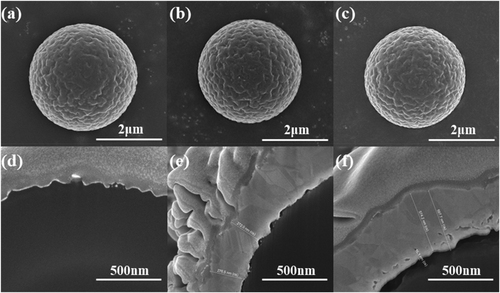 Figure 12. Conductive ball surface and cross-sectional image according to copper plating thickness: (a) 0.1 um, (b) 0.25 um, (c) 0.5 um, (d) 0.1 um cross section, (e) 0.25 um cross section, and (f) 0.5 um cross section.