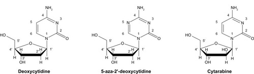 Figure 1 Comparison of the chemical structures of decitabine (5-aza-2′-deoxycytidine) and cytarabine with that of the nucleotide deoxycytidine.