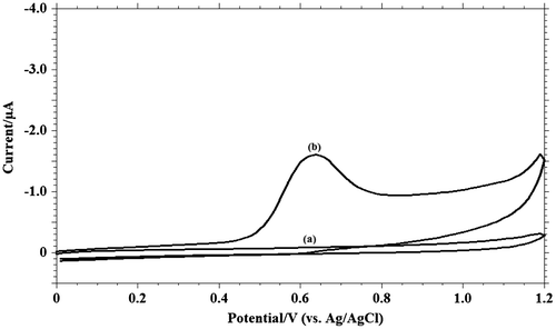 Figure 2. Cyclic voltammograms of 1.0 m M MDH on GCE in pH 9.2, phosphate buffer (I = 0.2 M) (a) blank and (b) MDH run at 0.1 V s−1.