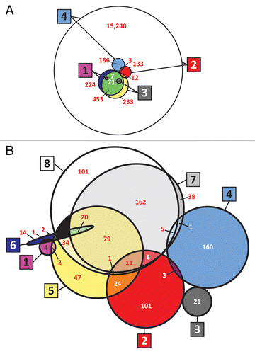Figure 1. Venn diagrams (drawn approximately to scale) of the data sets used in the census. (A) siRNA libraries and hits, and (B) combined siRNA and pathway analysis results (hits). Large boxed numbers identify the set, and smaller white or red numbers indicate the number of genes or hits in the intersection set. 1: siRNA screen 1; 2: siRNA screen 2; 3: siRNA screen 3; 4: siRNA screen 4; 5: Ingenuity Pathway Analysis (IPA); 6: MetaCore; 7: Pathway Studio (raw hits); and 8: Pathway Studio (manually curated hits). Diagrams with all circles were generated using VennMaster 0.37.5 for calculationsCitation12,Citation13 and then overlaying smooth circles on the VennMaster graphics. When 4 or more sets are being shown as circles, it is not in general mathematically possible to represent them and their intersections graphically to scale with accuracy. VennMaster provides an optimization algorithm that achieves a compromise representation. However, the 8 sets overlap in such a complex way that the fit could be improved by manually changing the circles for sets 6 and 7 to ellipses of approximately the right dimensions. In (A), the larger circle in each case represents the library, and the smaller circle represents validated hits. In (B), some small regions that contain zero hits (colored black) were necessary for graphical purposes.
