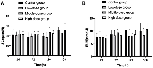 Figure 4 Effect of sodium cyclamate on serum levels of creatinine and blood urea nitrogen of mice. The serum levels of SCr (A) and BUN (B) were measured sodium cyclamate-treated at 24h, 72h, 120h and 168h. Values are the mean±standard deviation. SCr, serum creatinine; BUN, blood urea nitrogen.