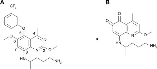 Figure 3 Metabolism of TQ (A) to 5,6 ortho-quinone TQ (B) in the presence of 2D6 isoenzyme.Citation77