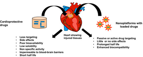 Figure 5 Schematic representation showing a general treatment method and targeted drug delivery using nanoplatforms to damaged cardiovascular tissues.