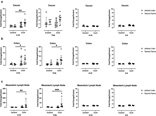 Figure 3. The effect of curli on levels of cytokine mRnas in cecum, colon, and mesenteric lymph node. Levels of Il −1b, Tnfa, Il −10, and Il −6 determined by RT-qPCR in RNA extracted 24 hours after indicated treatment from (a) cecum (b) colon, and (c) mesenteric lymph node of C57BL/6 mice from either Jackson Labs or Taconic Farms. Data were normalized to data from Jackson Labs mice treated with PBS. Each data point represents one mouse sample. Mean and standard error were calculated by averaging results from two independent experiments. Significance was determined using a Mann-Whitney test; *p < 0.05, **p < 0.01, ***p < 0.001.