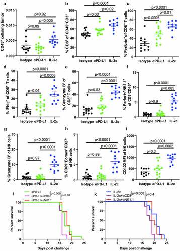 Figure 4. IL-2c activates of CD8+ T cells and promotes NK cell maturation in peritoneal B16. Wild-type male mice were challenged peritoneally with 4 × 105 B16 cells and treated with 100 μg αPD-L1 on days 7, 12, 17 or IL-2c on days 7, 9, 11, 13. Mice were sacrificed on day 15 for flow cytometric analysis of immune (CD45+) cell number normalized to tumor weight (a). (b-e) Intratumoral CD8+ T cell frequency (b) and effector molecule production (c-e). (f-i) Intratumoral NK cell perforin (f) and granzyme B (g) production, CD69+ Eomes+ expression by CD27− NK cells (h), and CD122 expression (i). N = 11–13 mice/group. p value, one-way ANOVA. (j) Survival of wild-type male mice challenged peritoneally with 4 × 105 B16 cells and treated with αPD-L1 (as above) ± 250 ug αNK1.1 or 250 ug αCD8 on days 6, 9, 12, 15, 18. N = 8–14 mice/group. p value, log-rank. (k) Survival of wild-type male mice challenged peritoneally with 4 × 105 B16 cells and treated with IL-2c (as above) ± 250 ug αNK1.1 or 250 ug αCD8 on days 6, 9, 12, 15. N = 8–9 mice/group. p value, log-rank. Note: Survival of mice in Figure 4j,k can be compared to survival of isotype-treated mice with peritoneal B16 in Fig. S7B. ANOVA, analysis of variance. Eomes, Eomesodermin. IFN-γ, interferon-gamma. IL-2, interleukin-2 complex. MFI, Mean Fluorescence Intensity. NK, Natural Killer. PD-L1, Programmed Death Ligand 1