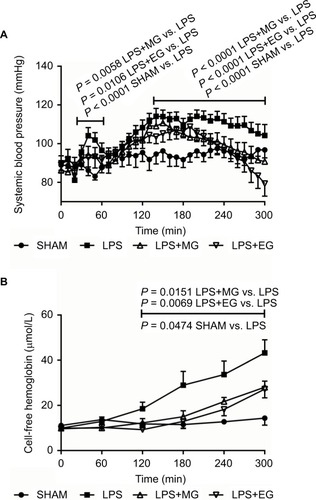 Figure 1 Effect of moderate (MG) and excessive glucose supply (EG) on systemic blood pressure (A) and plasma concentration of cell-free hemoglobin (B) during systemic inflammation. Lipopolysaccharide (LPS) was infused at a rate of 1 mg/kg and h over a period of 300 min to induce systemic inflammation in male Wistar rats. Glucose was supplied either moderately (LPS+MG: 1 mg LPS/kg and h + 70 mg glucose/kg and h) or excessively (LPS+EG: 1 mg LPS/kg and h + 210 mg glucose/kg and h) during systemic inflammation. Systemic blood pressure and plasma concentration of cell-free hemoglobin are shown as mean values ± standard errors of mean. Figure 2 Effect of moderate (MG) and excessive glucose supply (EG) on plasma concentrations of glucose (A) and lactate (B) during systemic inflammation. Lipopolysaccharide (LPS) was infused at a rate of 1 mg/kg and h over a period of 300 min to induce systemic inflammation in male Wistar rats. Glucose was supplied either moderately (LPS+MG: 1 mg LPS/kg and h + 70 mg glucose/kg and h) or excessively (LPS+EG: 1 mg LPS/kg and h + 210 mg glucose/kg and h) during systemic inflammation. Plasma concentrations of glucose and lactate are shown as mean values ± standard errors of mean.Display full size