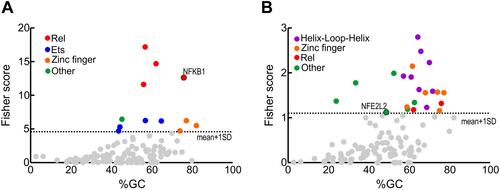 Figure 4 Transcription factors whose binding sites are enriched in the regulatory sequences of the genes with altered expression (FC>1.5 and p<0.05) comparing AD vs control subjects. (A) inflamatory genes from Figure 3A. (B) redox genes from Figure 3B. Identification of enriched transcription factors was done with the oPOSSUM software.Citation39 Fisher scores are plotted vs the GC composition of the TF profile. Dashed line represents one standard deviation above the mean. Transcription factor binding with scores higher than 1±SD are highlighted in colors as indicated.