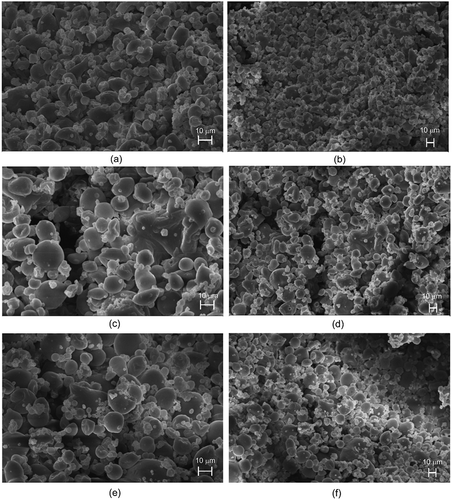 Figure 1. SEM images of pequi carotenoid extracts added by maltodextrin and gum arabic and spray-dried microencapsulated at (a) 150°C (2000×), (b) 150°C (1000×), (c) 170°C (2000×), (d) 170°C (1000×), (e) 190°C (2000×), or (f) 190°C (1000×).
