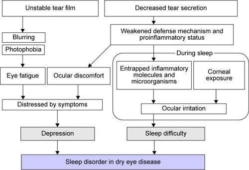 Figure 3 Hypothesis of the relationships between dry eye disease and sleep disorders.