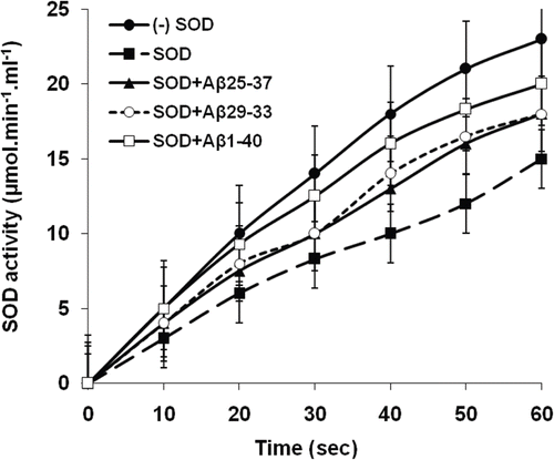 Figure 4.  Kinetic analysis for the interaction of Aβ-peptides with purified SOD. Purified SOD from bovine brain (20 µl) was incubated (37°C, 60 min) with Aβ25–37, Aβ29–33 or Aβ1–40 (20 µl, 5 µM) followed by incubation (37°, 20 min) with WST working solution (200 µl) according to the Sigma Information Bulletin, 19160 after which SOD activity was determined from the absorbance at 450 nm. All analyses were carried out in triplicate and values reported as the means with standard deviation p < 0.05 versus controls.