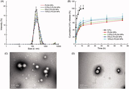 Figure 1. (A) Particle size and size distribution of PLGA NPs and LC-PLGA NPs, (n = 3); (B) In vitro release profiles of free 5-FU, 5-FU-loaded PLGA NPs and LC-PLGA NPs (n = 3); (C) TEM image of PLGA NPs; (D) TEM image of 10% LC-PLGA NPs.