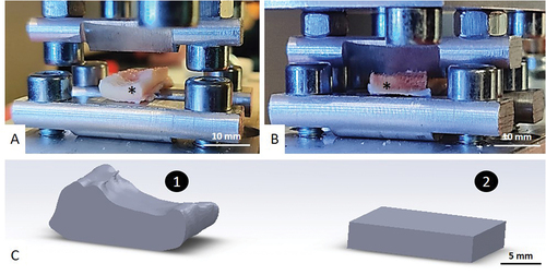 Figure 3. Three points bending test. A: Pre-loading image of the sample marked by an asterisk. B: Loading of the sample before fracture. C: Extrapolation of the model for the mathematical results. 1 = actual dimension of the sample, 2 = the rectangular volume chosen for the mathematical operation.