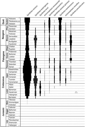 Figure 1. ‘Index of stratigraphical abundance’ (ISA) of some stratigraphically long ranging Spiniferites and Achomosphaera species. The chronostratigraphicalframework (left column) is from ICS (Citation2016). Species are presented in order of appearance. The scale bar corresponds to ISA =0.1.
