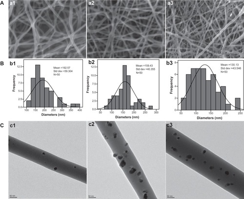 Figure 1 (A) Scanning electron micrographs of (a1) the neat PVA/COS nanofiber, (a2) the PVA/COS/3% AgNO3 nanofiber, and (a3) the PVA/COS-AgNP nanofiber. (B) Diameter distribution of (b1) the neat PVA/COS nanofiber, (b2) the PVA/COS/3% AgNO3 nanofiber and (b3) the PVA/COS-AgNPs nanofiber. (C) Field emission transmission electron micrographs of (c1) the non-UV-treated PVA/COS/3% AgNO3 nanofiber (c2) the post-UV-treated PVA/COS/3% AgNO3 nanofiber, and (c3) the PVA/COS-AgNP nanofiber.Abbreviations: AgNP, silver nanoparticle; COS, chitosan oligosaccharide; PVA, poly(vinyl alcohol); UV, ultraviolet; Std dev, standard deviation.