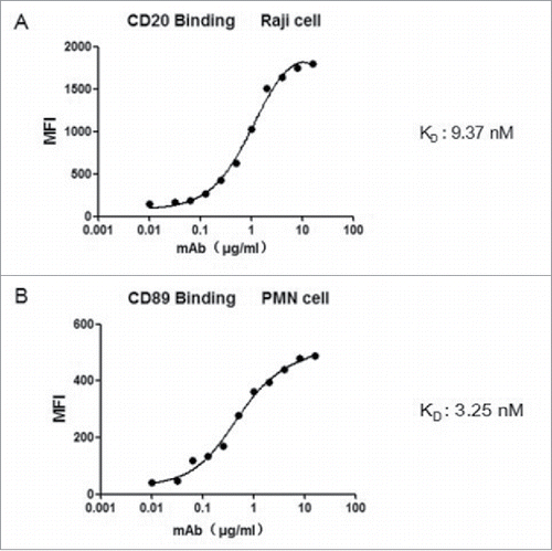 Figure 2. Apparent binding affinities of the Fv components of the bispecific antibody. Increasing concentrations of bispecific antibody were incubated with CD89-positive PMN cell. The binding of both antigens on the CD20 × CD89 molecule was assessed by flow cytometry using (A) A CD20-expressing cell line (Raji cells) and (B) CD89-expressing cell (PMNs). All data are presented as the mean ± SEM (n = 3) from one of three representative experiments.