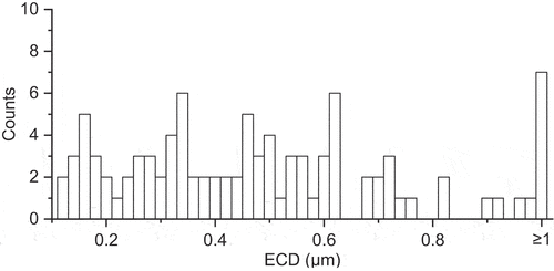 Figure 10. Size distribution of Ta enriched particles associated with creep cavities in the creep ruptured CPJ7 sample.