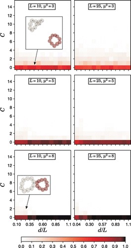 Figure 5. (Colour online) Probability distributions, indicated by a colour scale, for two ring SMPs to form C self-assembled connections as a function of their relative characteristic separation, d / L. The values of and SMP size are provided in the legend.