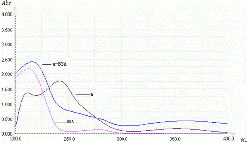 Figure 5.  Determination of conjugation density of 7-aminonitrazepam to the carrier protein by UV spectrometry.