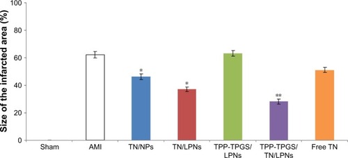 Figure 10 In vivo infarct therapy effect of TN-loaded LPNs, NPs, and free TN evaluated by the infarct size.Notes: *P < 0.05, compared with free TN. **P < 0.01, compared with free TN. Data are presented as mean ± SD, n=8.Abbreviations: AMI, acute myocardial infarction; TN, tanshinone IIA; LPNs, lipid-polymeric nanocarriers; NPs, nanoparticles; TPP, triphenylphosphonium; TPGS, D-α-tocopheryl polyethylene glycol 1000 succinate.