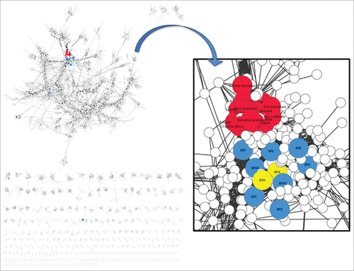 Figure 1. Similarity of BPA analogs across Tox21 high throughput screening network. A correlation network was drawn using Cytoscape software (version 3.1.1)Citation26 to describe the similarity of BPA analogs with respect to BPA (yellow) and several estradiol derivatives (red). The correlation network was derived from the direction adjusted, weighted area under the curve (wAUC) values from dose-response measurements from 39 biological assays for 11,153 chemicals in the Tox21HTS platform.Citation15 A correlation threshold of 0.75 was set for inclusion in the network. Compounds included in the Tox21 network analysis include: BPA (bisphenol A), BPAF (bisphenol AF), BPE (bisphenol E), 2,2-BPF (2,2-bisphenol F), 4,4-BPF, BPB (bisphenol B), BPC (bisphenol C), BPS (bisphenol S), BPZ (bisphenol Z). TMBPA (tetramethyl bisphenol A )and TGSA (bis-(3-allyl-4-hydroxyphenyl) sulfone ) did not reach the threshold correlation and are not included in the network. Some compounds are represented multiple times because they occurred more than once in the Tox21 library. Chemicals clustering with only one or a few near neighbors are arrayed in the rows at the bottom of the larger network.