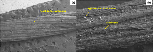 Figure 3. Surface morphology of (a) FSPRF and (b) AFSPRF.