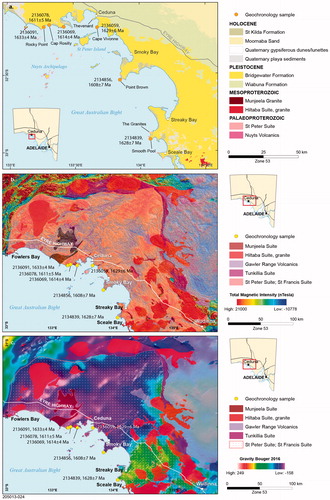 Figure 2. Surface geology and potential field data across the region of the St Peter Suite, central Gawler Craton. Also shown are the location of U–Pb geochronology samples of St Peter Suite age from this and previous studies along with the orientation of solid-state deformation fabrics within the St Peter Suite. (a) Surface geology map of the southern portion of the St Peter Suite showing the location of coastal exposures. (b) Reduced to pole total magnetic intensity image. (c) Bouguer gravity image. Geological Survey of South Australia data available via SARIG, https://map.sarig.sa.gov.au/. Geochronology data from this study, Fanning et al. (Citation2007), Symington et al. (Citation2014) and Reid and Dutch (Citation2012). Structural fabric data from this study, Pawley et al. (Citation2016) and Symington et al. (Citation2014).