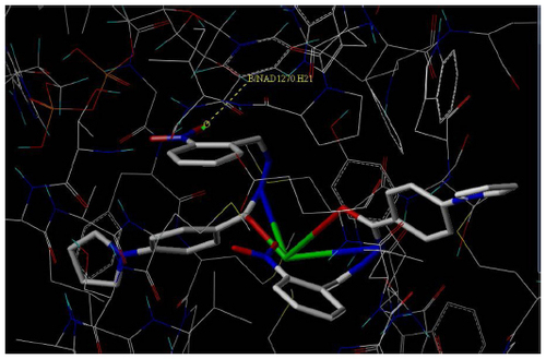 Figure 6 Docked view of ligand (compound 7d) in B chain of PDB 2X22.