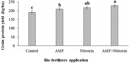 Figure 16. Effect of inoculation with bio-fertilizers on grain protein yield of sorghum. Values represent means ± SE. Different letters indicate significant differences using LSD test (P <.05)