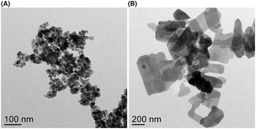 Figure 1. Transmission electron micrographs of (A) LCO and (B) LCP-NPs. NPs were sonicated for 10 minutes in water and drop cast on a TEM grid prior to imaging.