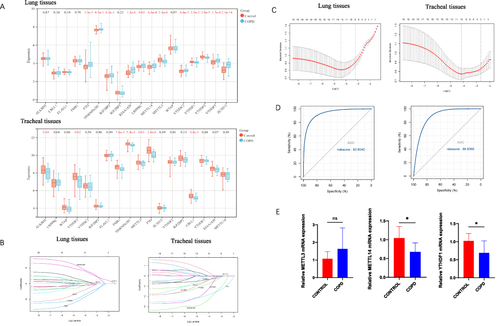 Figure 4 Involvement of m6A regulators in COPD. (A) Box plots were obtained by analyzing the GEO data, which shows the transcriptomic differences of 18 m6A regulators in COPD and healthy samples. (B) Least Absolute Shrinkage and Selection Operator (LASSO) coefficient curves for the 18 m6A regulators in the GEO dataset. (C) 10-fold cross-validation in LASSO regression adjusting for parameter selection in GEO data. The partial likelihood bias is compared to log(λ), with λ being the tuning parameter. The partial likelihood bias values are shown in the figure, the error bars represent the standard error (SE). The vertical dashed lines indicate the optimal values using the minimum and (1-SE) criteria. (D) ROC curves and AUC values were used to assess the ability of m6A modulators in the GEO data to discriminate between COPD and healthy samples. (E) RT-PCR results of 8 blood samples each from COPD patients and healthy controls. *p < 0.05, compared with healthy controls. ns, p=0.2357.