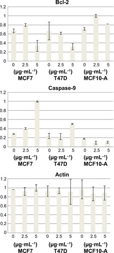 Figure 3 Western-blot quantification of Bcl-2 and caspase-9 by ImageJ software.Notes: To determine relative intensity values, the maximum value for each protein was assigned as 100%. Caspase-8 and caspase-3/7 activities were assigned by chemiluminescent assay following 6 hours’ incubation with 0, 1, and 2 mg⋅mL−1 Ag NP concentrations.Abbreviation: Ag NPs, silver nanoparticles.