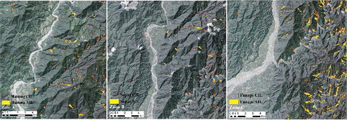 Figure 2. The spatial distribution of CIL (the detected change in landslides after a typhoon event) and AIL (the merge of pre- and post-event landslides) in (a) Zone A during typhoon Haitang, (b) Zone B during typhoon Sepat, and (c) Zone C during Fanapi.