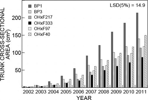 Figure 4: Effect of rootstock on trunk cross-sectional area (cm2) of ‘Forelle’ at Stettyn