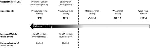 Figure 2. Overview of urinary tract findings induced by EDG, NTA, MGDA, GLDA and EDTA. *Read-across to NTA as Ca-microcrystal formation is likely due to the very low solubility of EDG-Ca and because marked renal toxicity was noted in vivo.