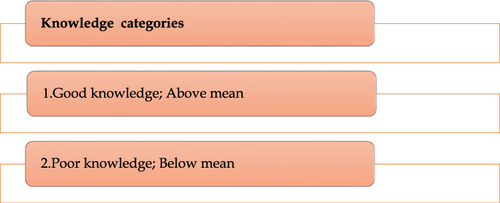 Figure 3 Scoring key of knowledge levels on neurological examination.