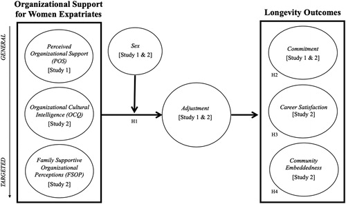 Figure 1. Hypothesized model.Notes. In Study 1, POS and sex were measured at T1, adjustment was measured at T2 (while controlling for adjustment at T1). Commitment was measured at T2. In Study 2, OCQ, FSOP, sex, adjustment, commitment, career satisfaction, and community embeddedness were measured at T1.