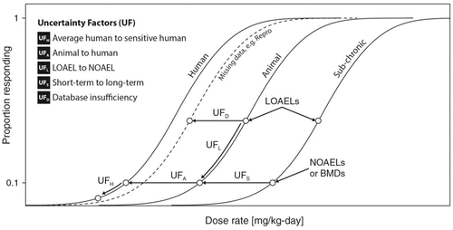 Figure 1 A conceptual illustration of uncertainties that are commonly considered in noncancer risk assessment for OEL setting. UFs are seen as differing extrapolations among dose response curves for either experimental animal to human (UFA), average to sensitive humans (UFH), LOAEL to NOAEL (UFL), shorter-term to longer-term (UFS), or as an adjustment for database insufficiency (UFD).