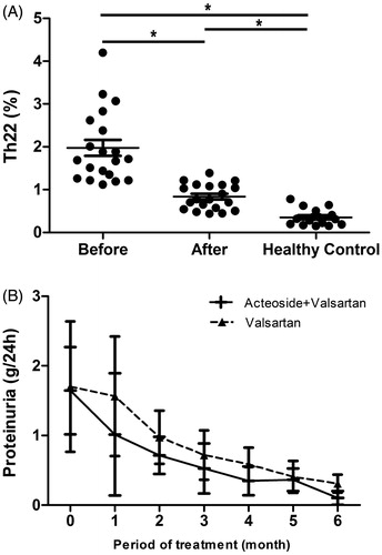 Figure 1. ACT attenuates Th22 cell disorder and proteinuria in IgAN. Patients with IgAN were treated with Rehmannia glutinosa acteoside (0.8 g/d) and valsartan (0.08–0.16 g/d) for 8 months. (A) Results of the Th22 cell amounts in IgAN patients before and after 6 months Rehmannia glutinosa acteoside and valsartan therapy comparing with healthy controls. * represents p < .01. (B) Results of 24 h urinary protein quantity analysis for IgAN patients. There is no difference in total urinary protein between valsartan group and valsartan + acteoside group before drug therapy (p = .853). Six months later, the post treatment total urinary protein of acteoside + valsartan group significantly decreases comparing with valsartan group (p = .015).