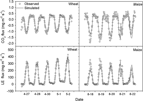 Fig. 9  Comparison between simulated and observed values of CO2 flux and latent heat flux (LE) over winter wheat and summer maize canopy at typical clear days in 2003.