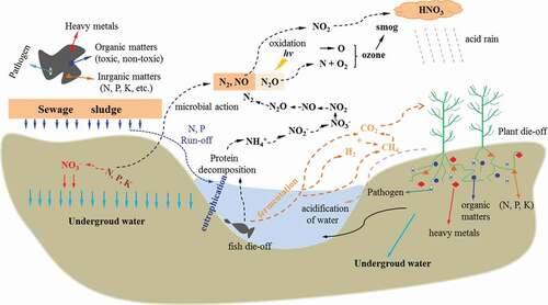 Figure 1. Potential impact of sewage sludge on environmental sustainability
