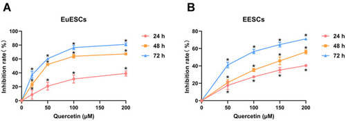 Figure 2 Quercetin shows the cytotoxic effect on the viability of EuESCs and EESCs in vitro. (A) EuESCs were exposed to quercetin with various concentrations (0, 20, 50, 100, and 200 μM) for 24, 48 and 72 h. (B) EESCs were exposed to quercetin with various concentrations (0, 50, 100, 150, and 200 μM) for 24, 48 and 72 h. Cell viability was measured by CCK-8 assay. Data were presented as mean ± SD; *P <0.05 vs 0 μM group. Each experiment was performed three times.