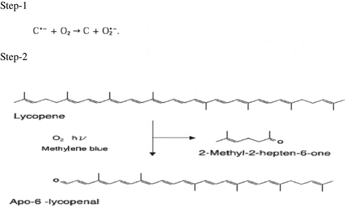 Figure 3 Suggested pathway of the formation of apo-6-lycopenal and 2-methyl-2-hepten-6-one from Lycopene upon photo sensitization.